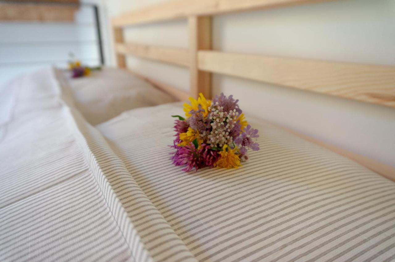 La Risorta Apartment Cesiomaggiore Ngoại thất bức ảnh